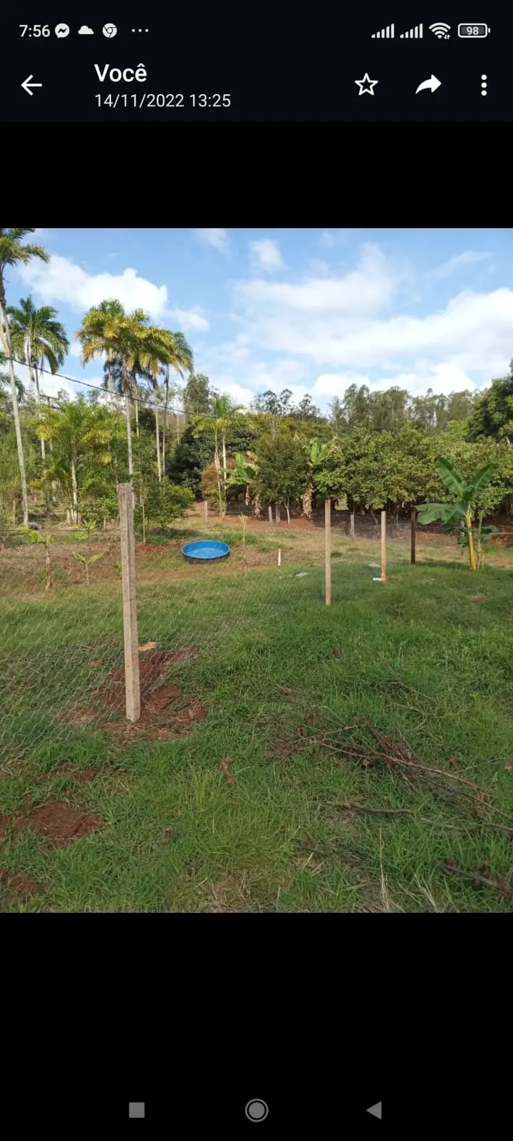 Chácara Chácara no Distrito de Maravilha, Distrito de Maravilha, Londrina: foto principal